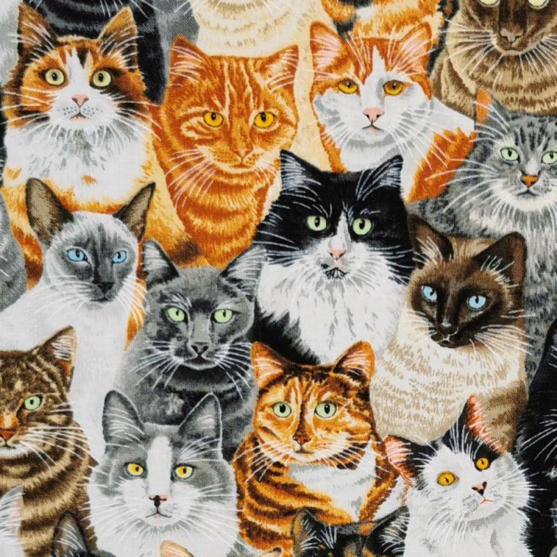 100% Cotton Print Fabric by Nutex - Crowded Cats - Multi