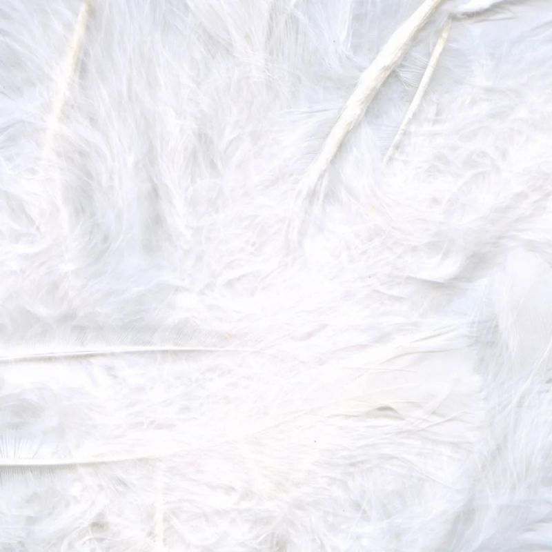 Eleganza Craft Marabout Feathers Mixed 3inch-8inch 8g bag - White