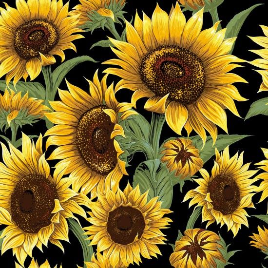 100% Cotton Fabric by Nutex - Flower Market Sunflowers