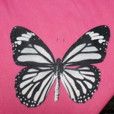 Chiffon Fabric Butterflies - Cerise