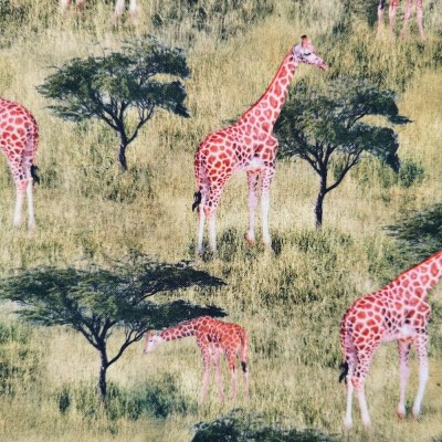 100% Cotton Print Fabric African Safari - Gir