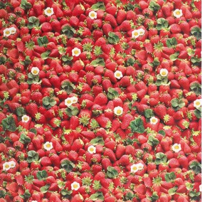 PVC Table Cover Protector - Strawberries