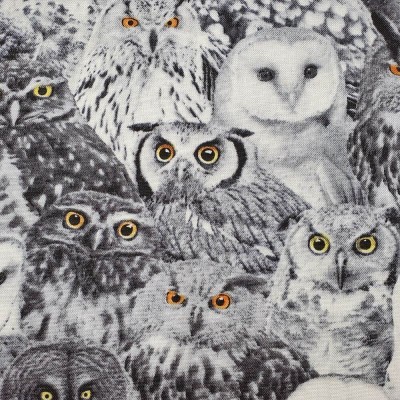 100% Cotton Digital Fabric Timeless Treasures - Wicked Owl Black