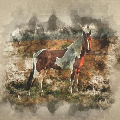 100% Cotton Canvas Look Art Panel - Wild Horse