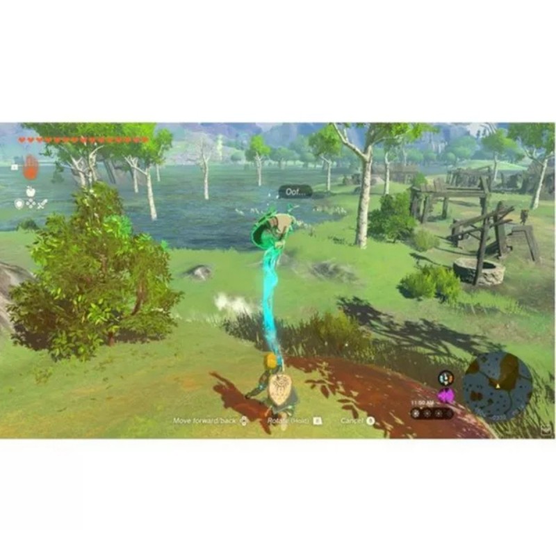 The Legend of Zelda: Tears of the Kingdom - N
