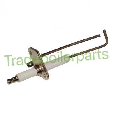 main - 7686344 ignition electrode